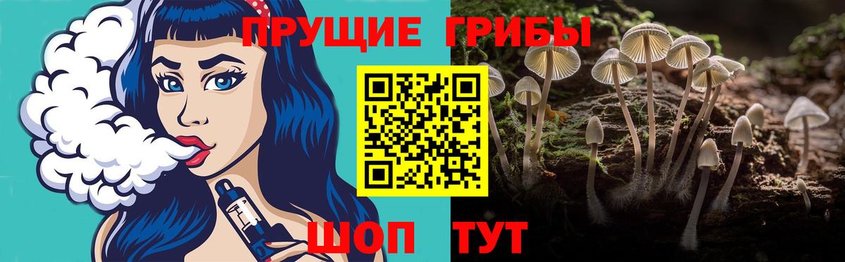 Галлюциногенные грибы GOLDEN TEACHER  Вход с VPN  Златоуст 