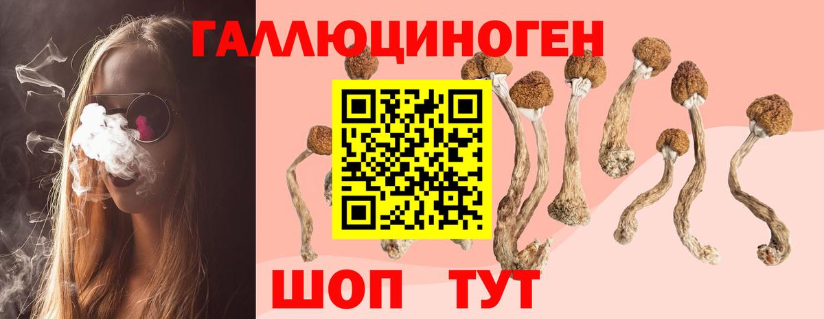Псилоцибиновые грибы Magic Shrooms Златоуст